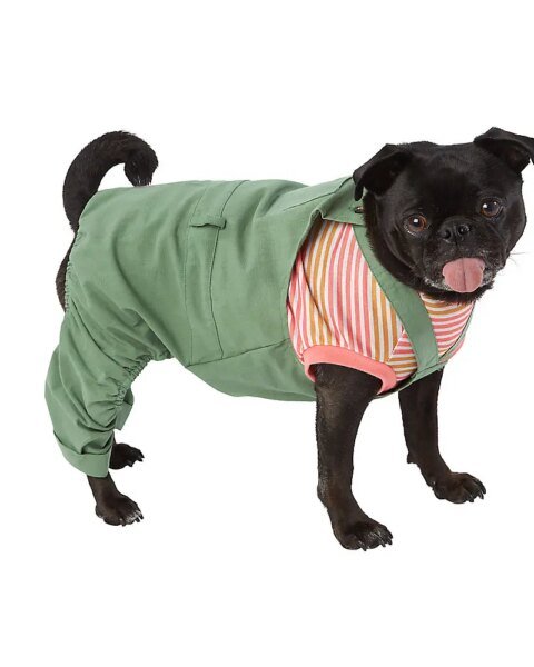 Top Paw® Green Dog Overalls